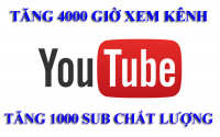 Cách  4000 Giờ Xem Kênh Youtube và 1000 Nghìn Subscribe Để Bật Kiếm Tiền